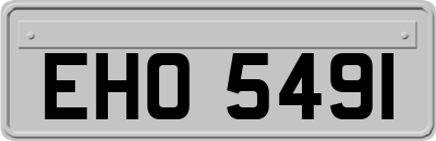 EHO5491