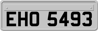 EHO5493