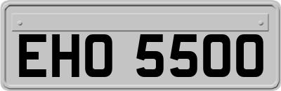 EHO5500