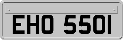 EHO5501