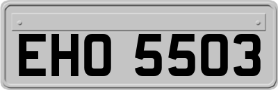 EHO5503