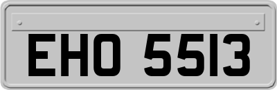 EHO5513