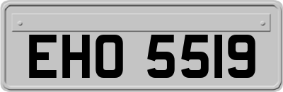 EHO5519
