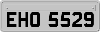 EHO5529