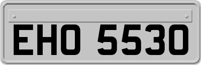 EHO5530