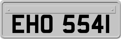 EHO5541