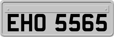 EHO5565