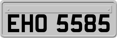 EHO5585