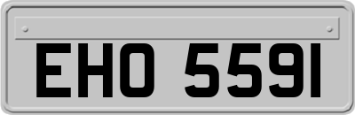 EHO5591