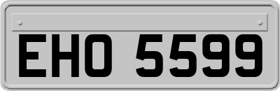 EHO5599