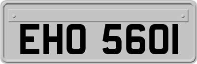 EHO5601