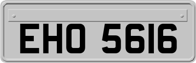 EHO5616