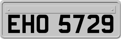 EHO5729