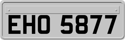EHO5877
