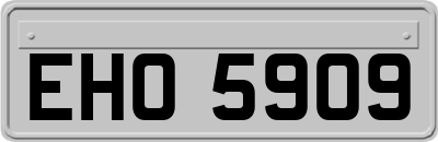 EHO5909