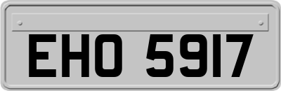 EHO5917