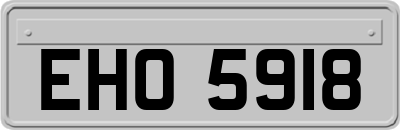 EHO5918