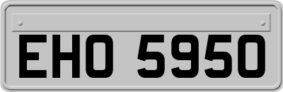 EHO5950