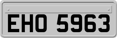 EHO5963