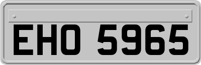 EHO5965