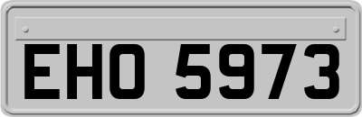 EHO5973