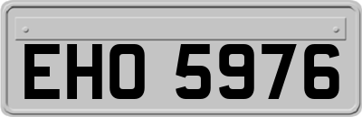 EHO5976
