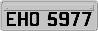 EHO5977