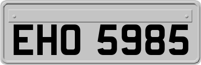 EHO5985