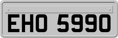 EHO5990
