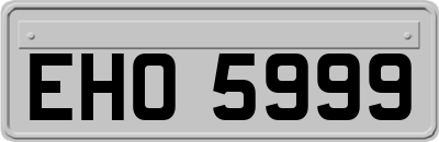 EHO5999