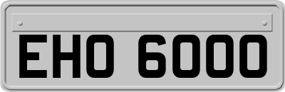 EHO6000