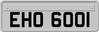 EHO6001