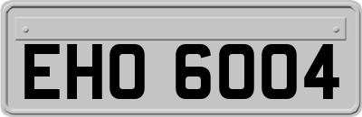 EHO6004