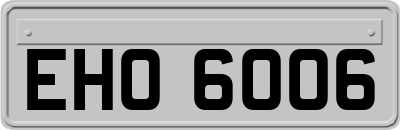 EHO6006