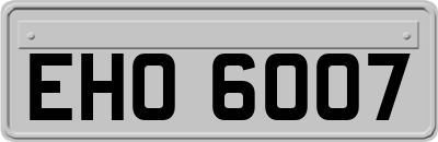 EHO6007