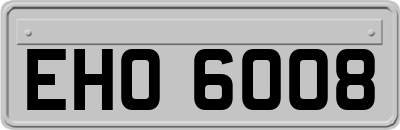 EHO6008