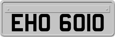 EHO6010
