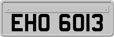 EHO6013