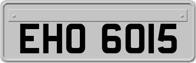 EHO6015