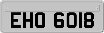 EHO6018