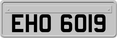 EHO6019
