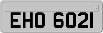 EHO6021