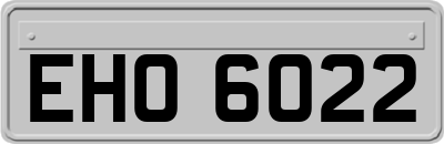 EHO6022
