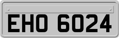 EHO6024