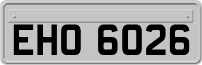 EHO6026