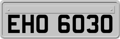 EHO6030