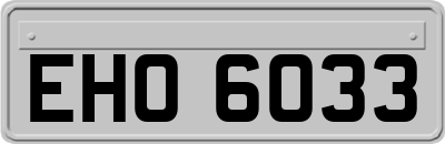 EHO6033