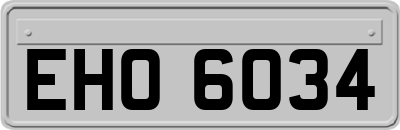 EHO6034
