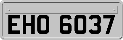 EHO6037