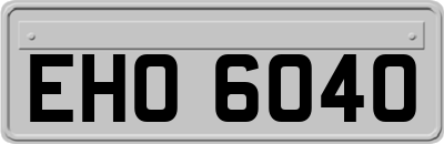 EHO6040